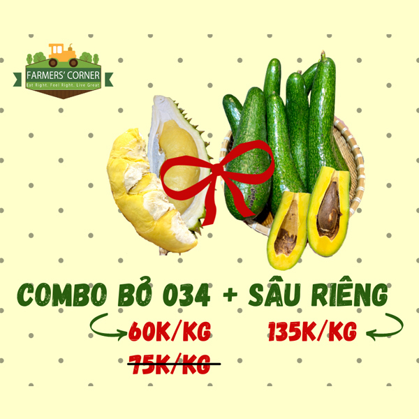 Combo Bơ sáp 034 + Sầu riêng Ri 6