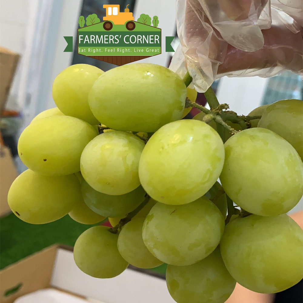 Nho xanh Úc Fruitico - Hàng Limited!